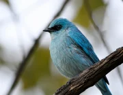 Banner 8 (1)