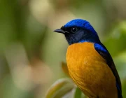 banner 7